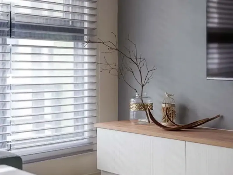 方舟共生有限公司